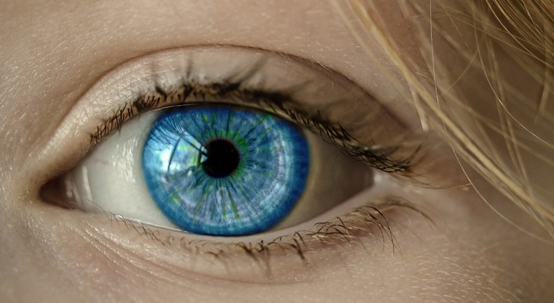 Eye Tracking Surveys