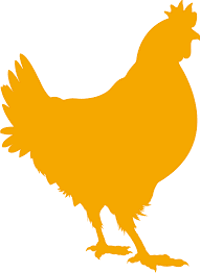 PN Logo Square