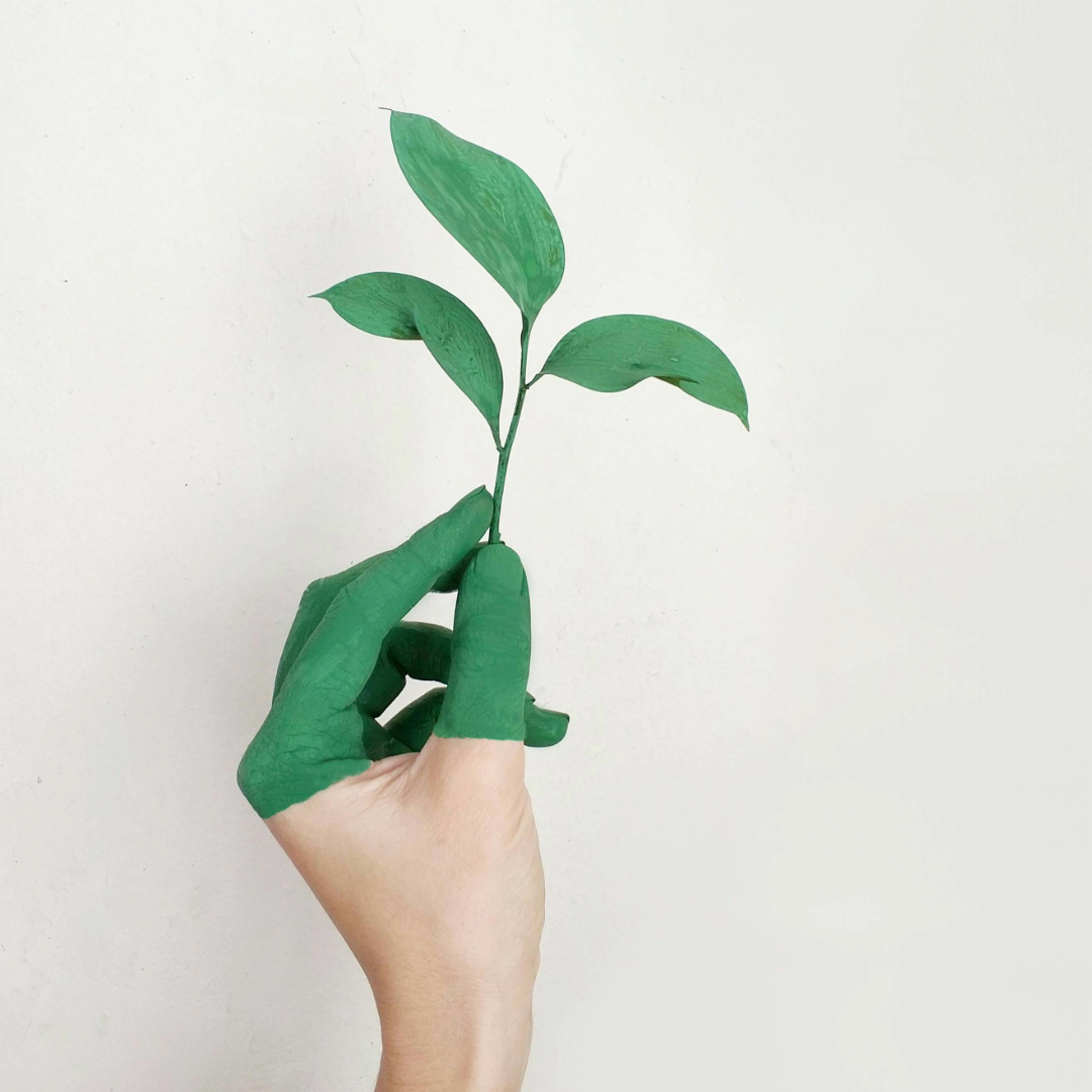 Eco